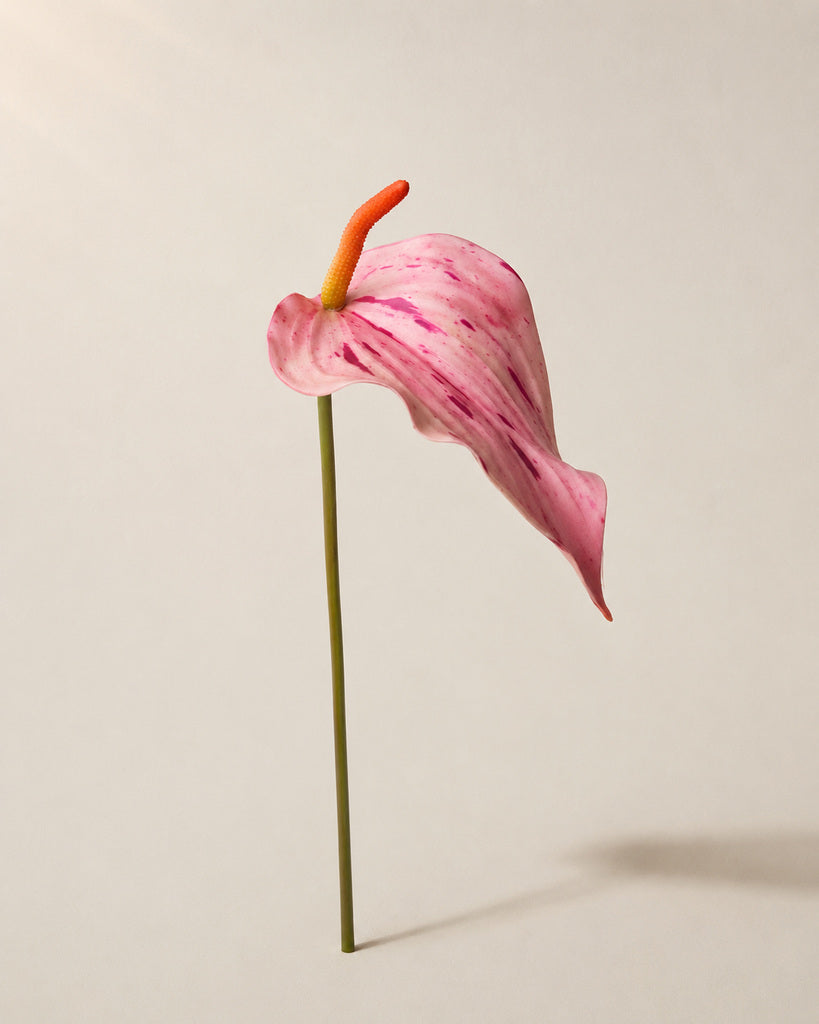 Pink Soft Rubber Artificial Anthurium Stem - 72 cm