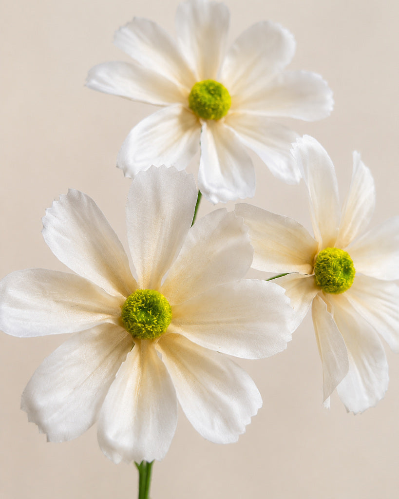 White Artificial Cosmos Floral Spray - 60 cm