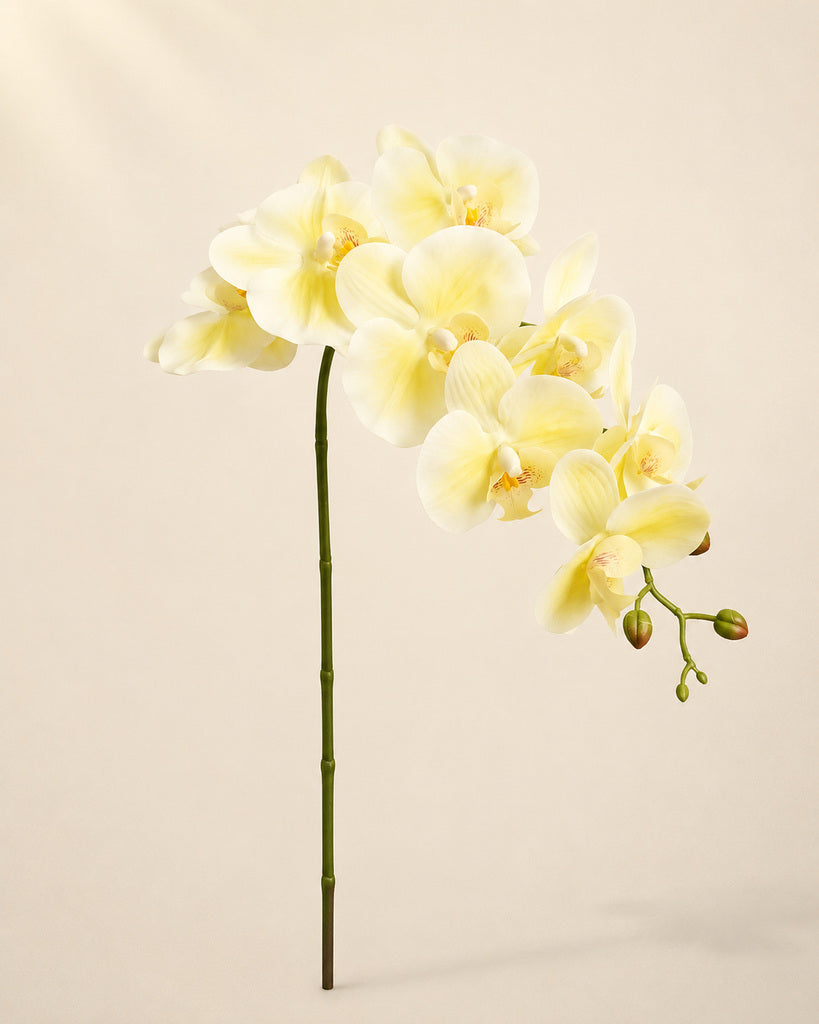 Cream Yellow PVC Artificial Phalaenopsis Orchid Stem - 100 cm