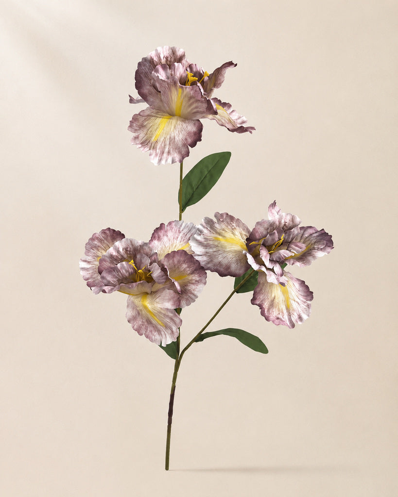 Coffee Brown Artificial Large Iris Spray - 88 cm