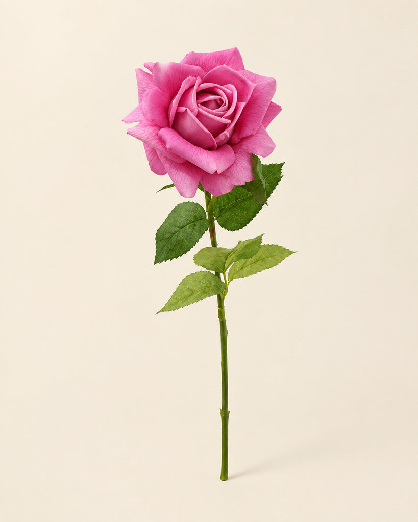 Mauve Austin Artificial Rose Stem - 73 cm