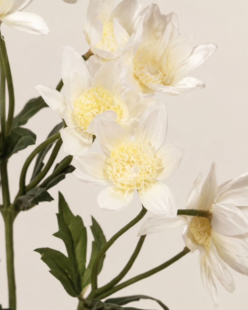 White Plastic, PVC & Soft Rubber Artificial Dandelion Spray - 65 cm