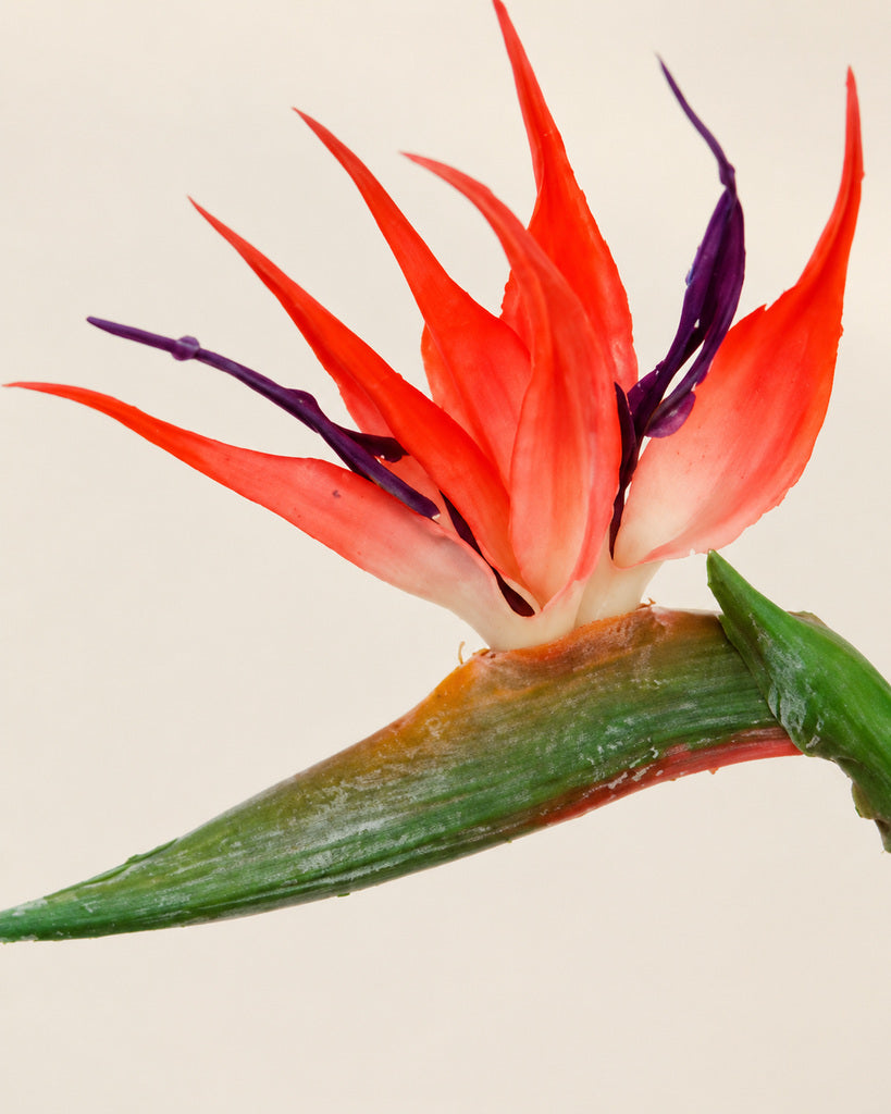 Red Soft-Touch Artificial Bird of Paradise Stem - 58 cm