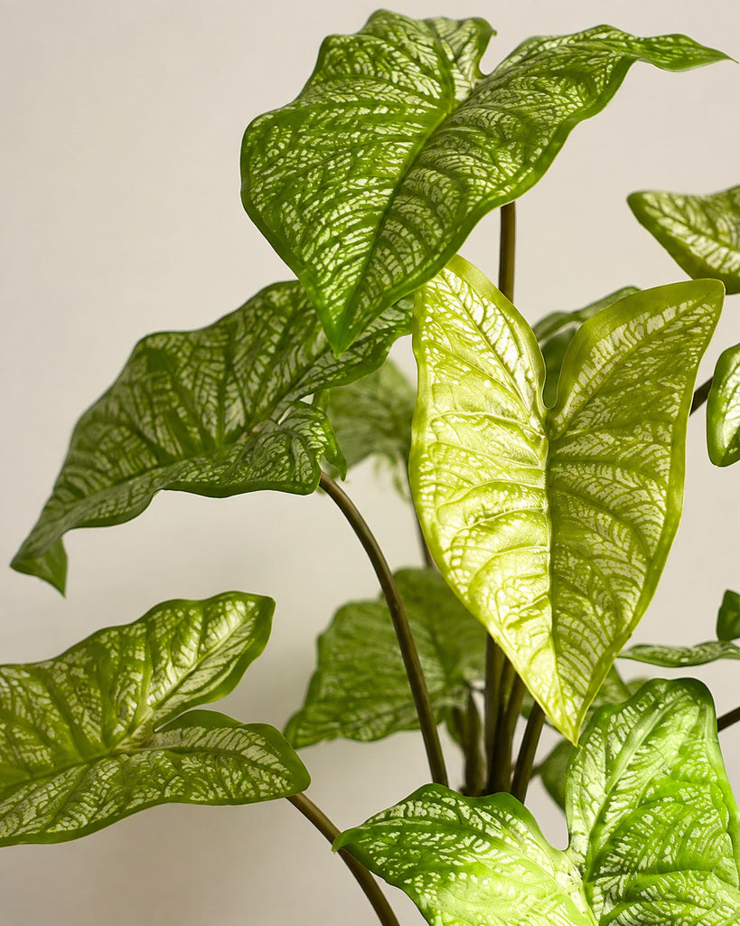 9-Head Artificial White Arrowhead Foliage Spray - 54 cm