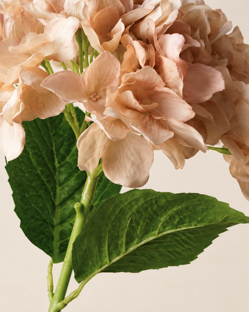 Coffee Brown Soft-Touch Artificial Hydrangea Stem - 47 cm