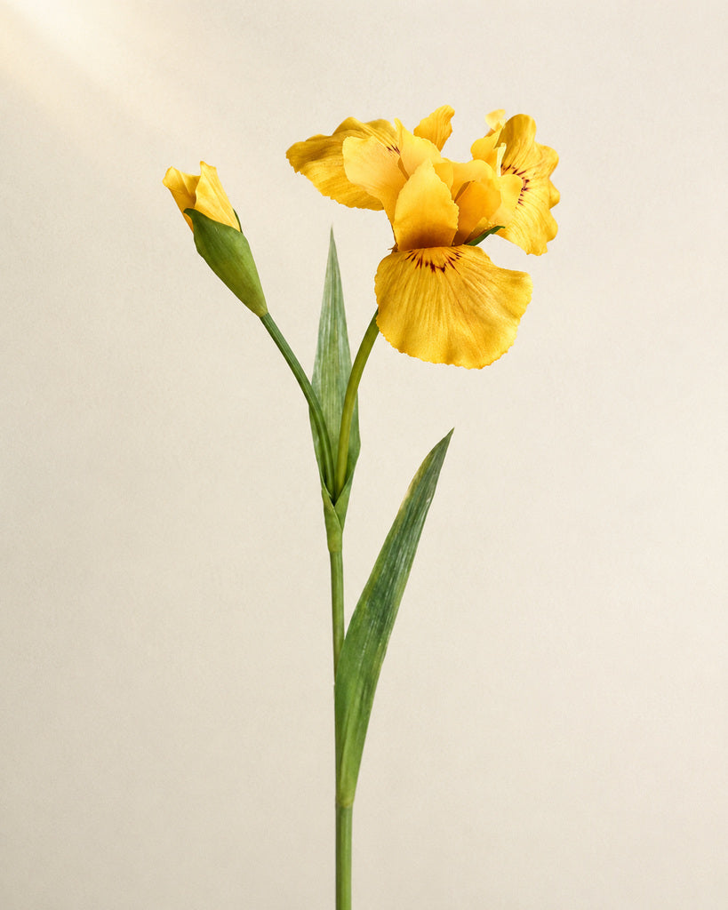 Yellow Artificial Iris Floral Stem - 75 cm