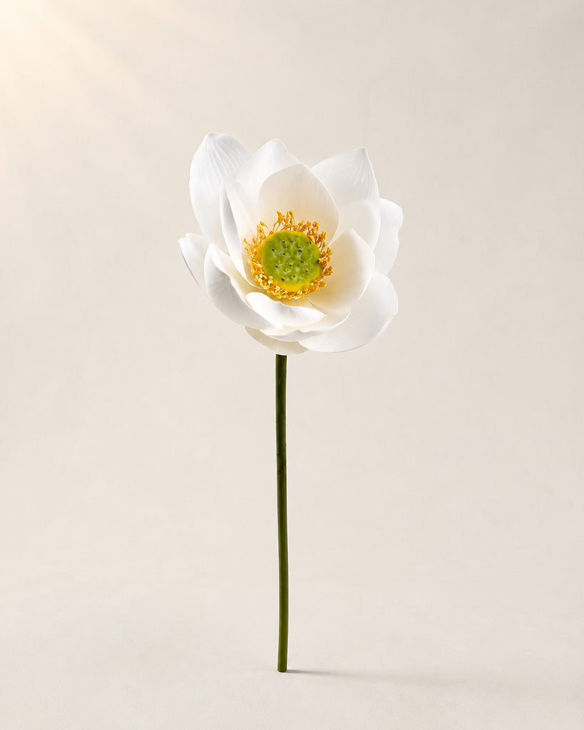 White Artificial Lotus Floral Stem - 60 cm