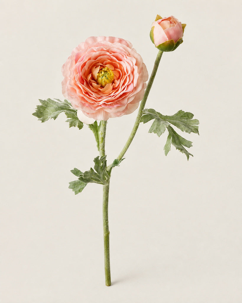 Blush Pink Artificial Ranunculus Stem - 62 cm