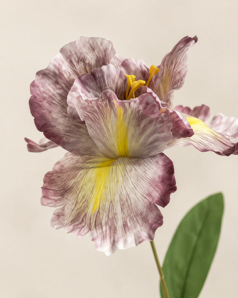 Coffee Brown Artificial Large Iris Spray - 88 cm