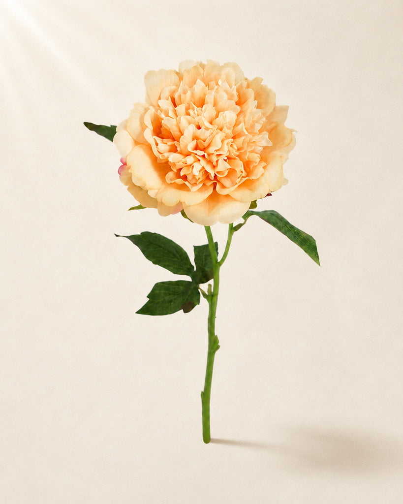 Champagne Fabric Artificial Peony Stem - 56 cm