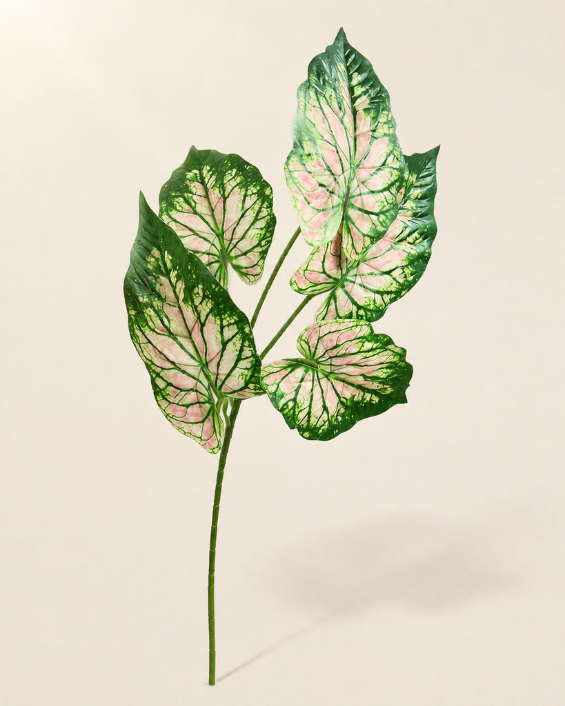 Pink Green Artificial Alocasia Leaf Spray - 70 cm