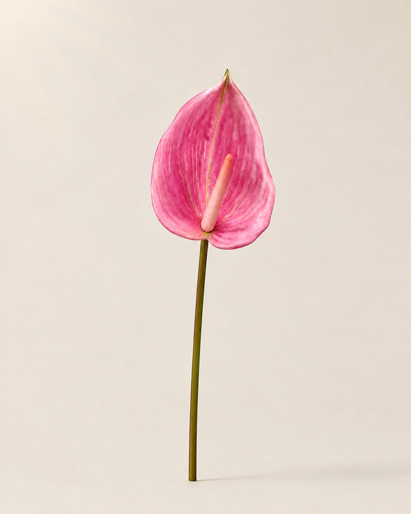 Pink Artificial Anthurium Stem - 80 cm