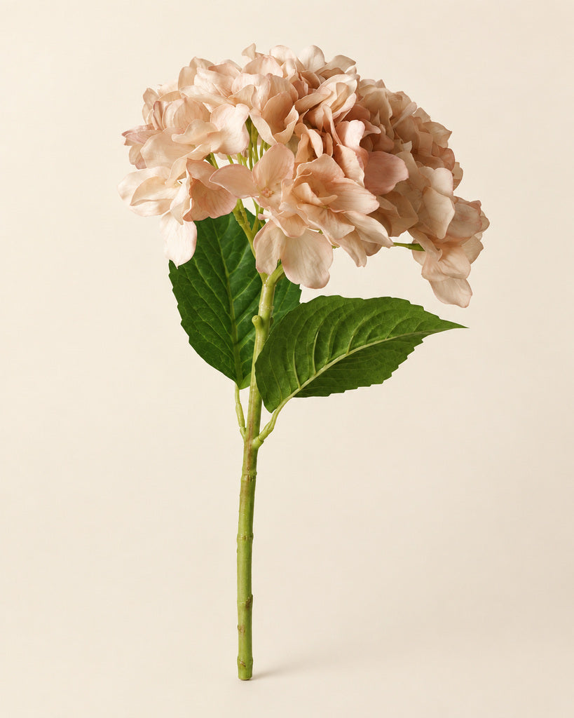 Coffee Brown Soft-Touch Artificial Hydrangea Stem - 47 cm