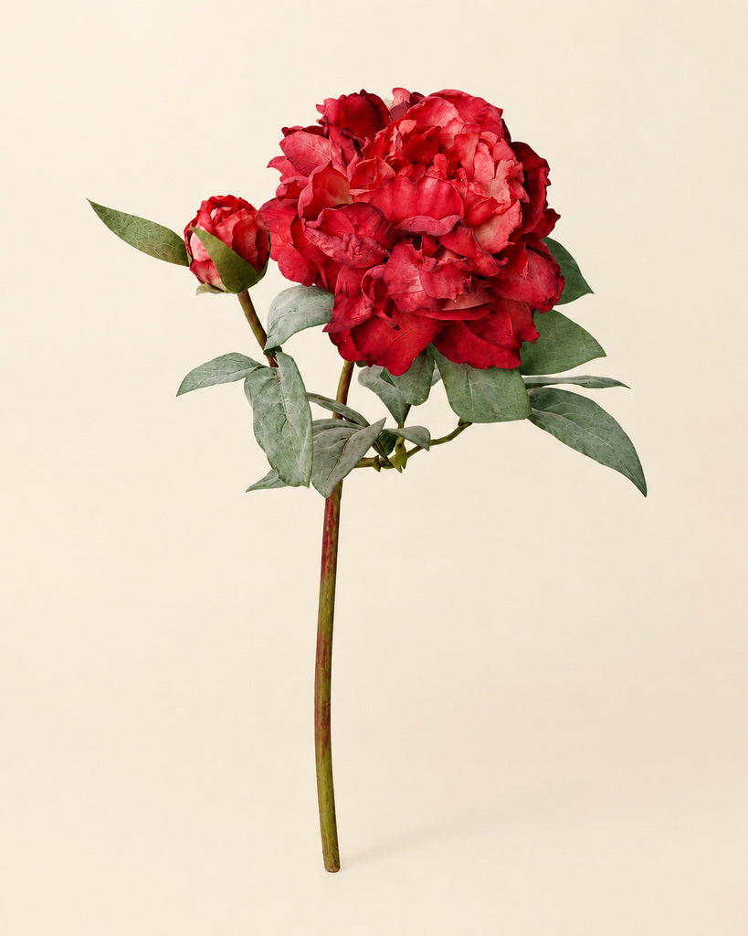 Vintage Red 2-Head Artificial Peony Stem - 64 cm
