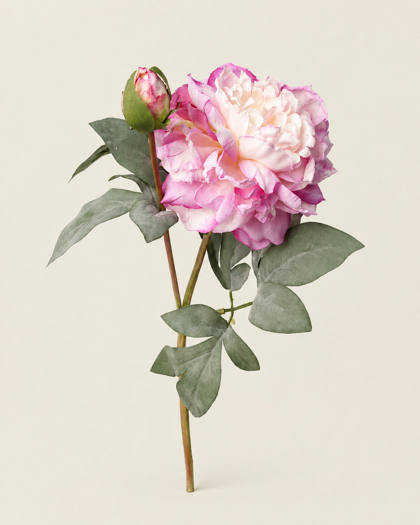 Vintage Purple 2-Head Artificial Peony Stem - 64 cm