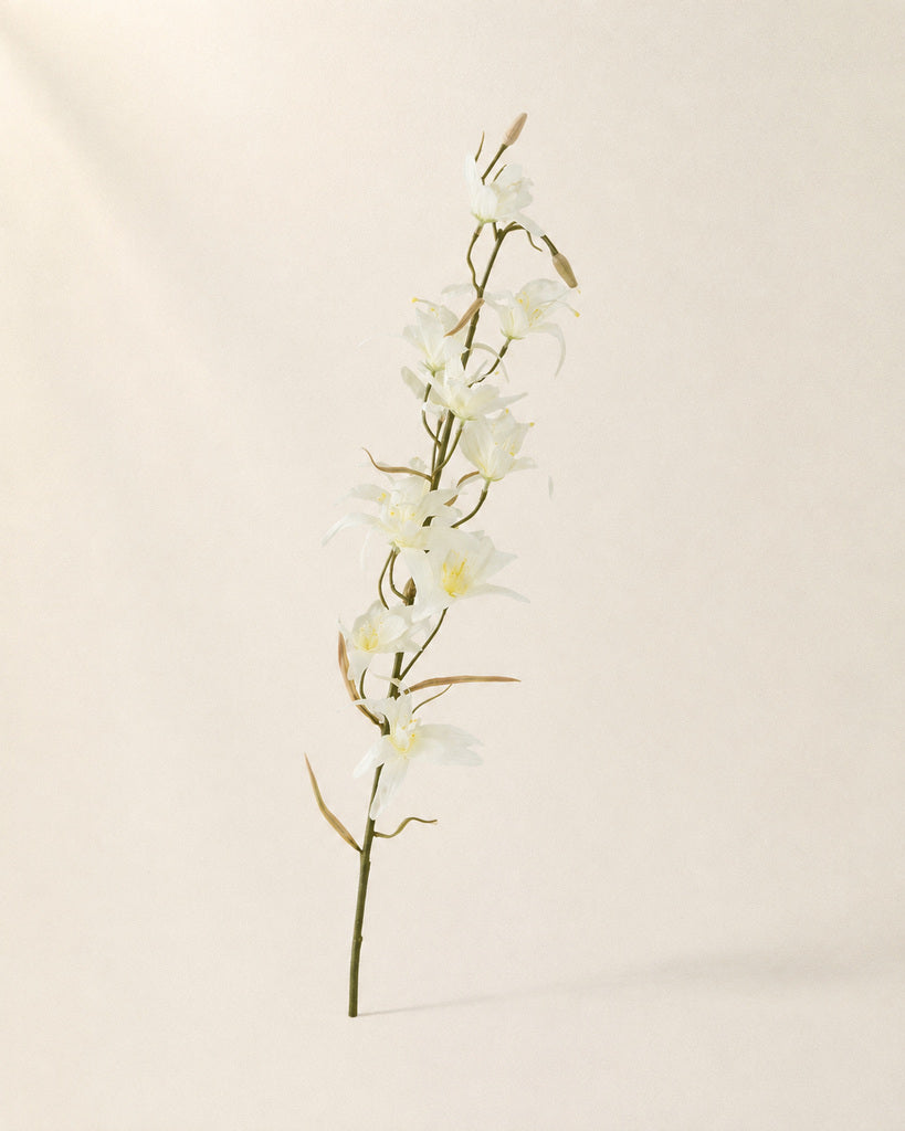 White Fabric Artificial Australian Dendrobium Orchid Stem - 80 cm
