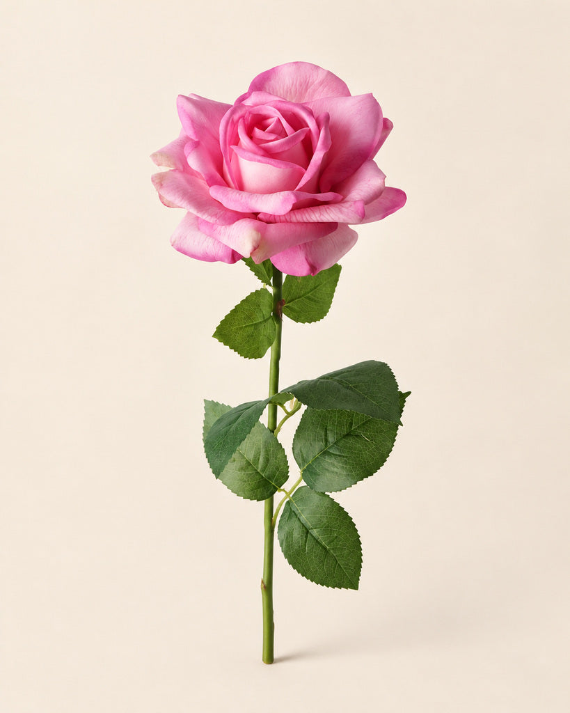 Light Rose Pink Austin Artificial Rose Stem - 73 cm