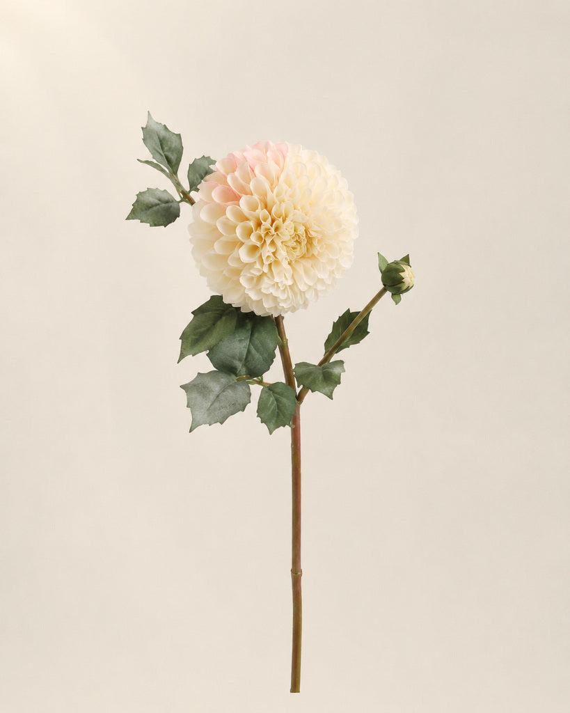 Cream White 2-Head Fabric Artificial Dahlia Stem - 80 cm