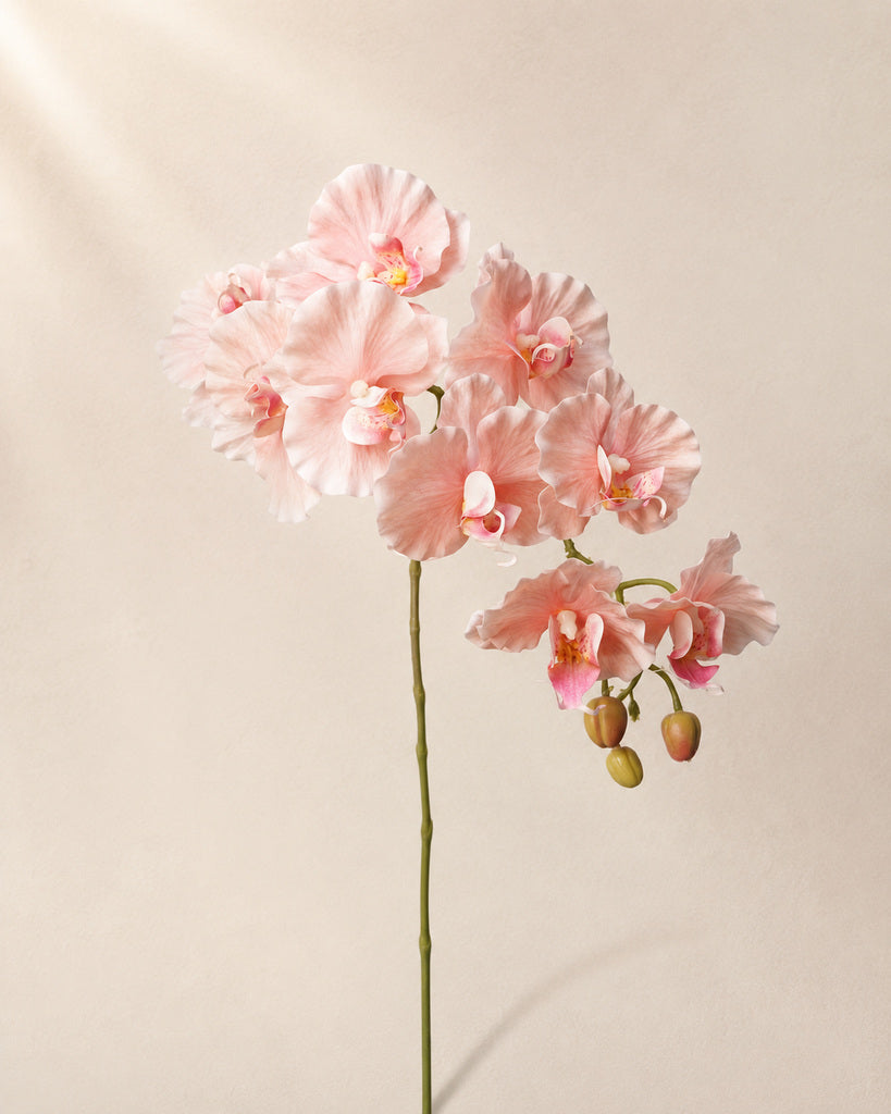 Champagne Pink Dream 9-Head Artificial Phalaenopsis Orchid Stem- 98 cm