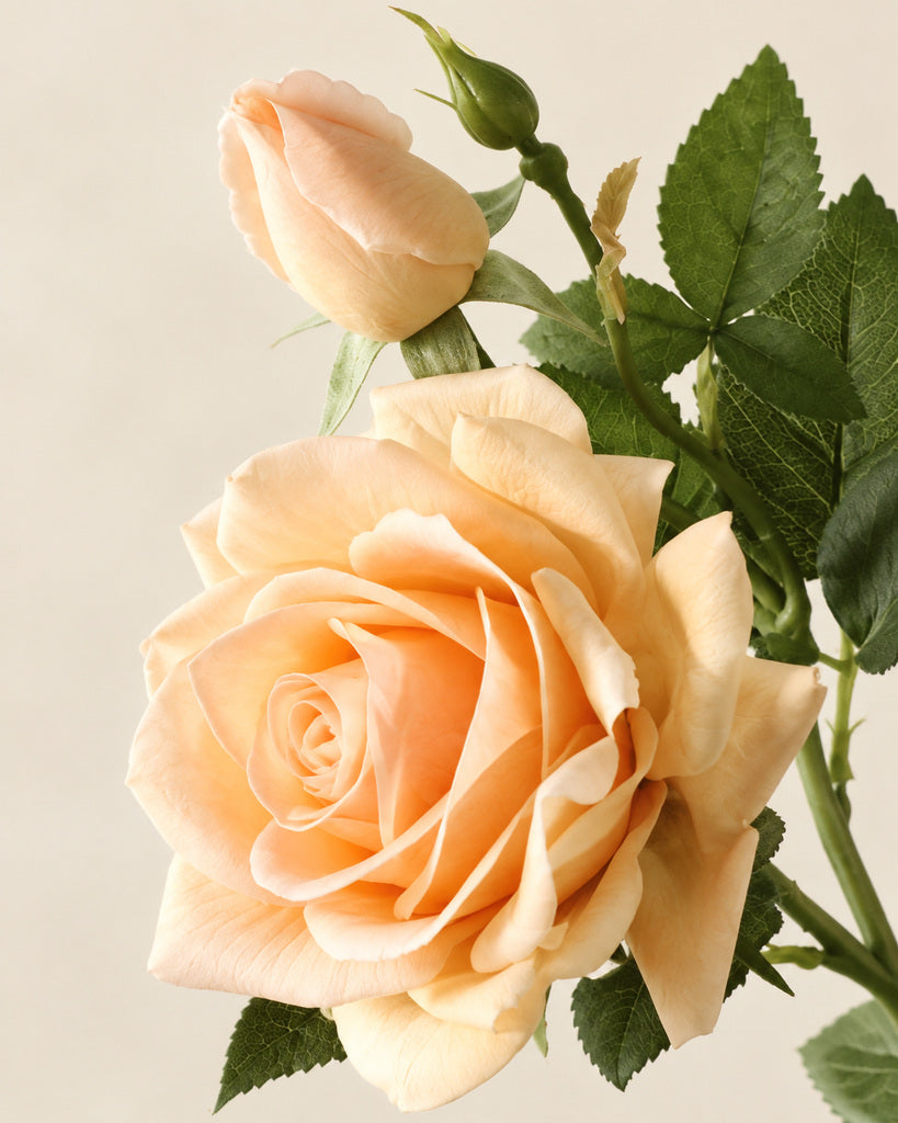 Deep Champagne 3-Head Princess Rose Faux Flower Stem - 75cm