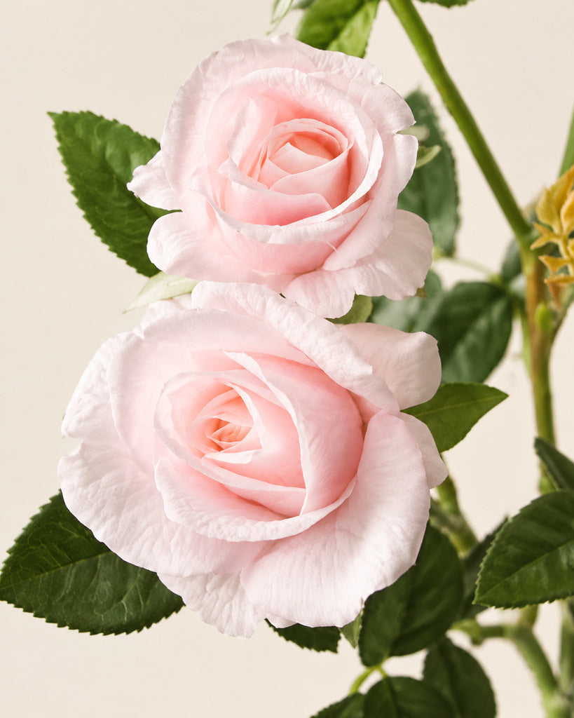 Light Pink Multi-Head Artificial Barbie Rose Stem - 70 cm