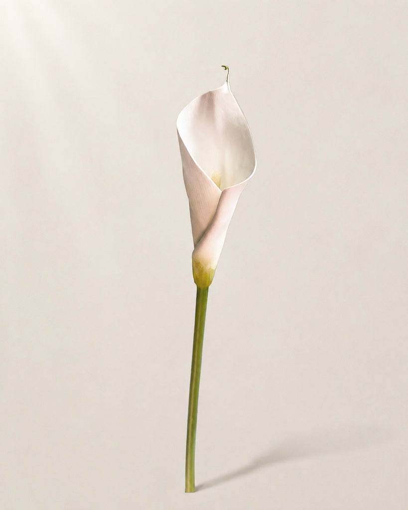 Blush Pink Artificial Calla Lily Floral Stem - 63 cm