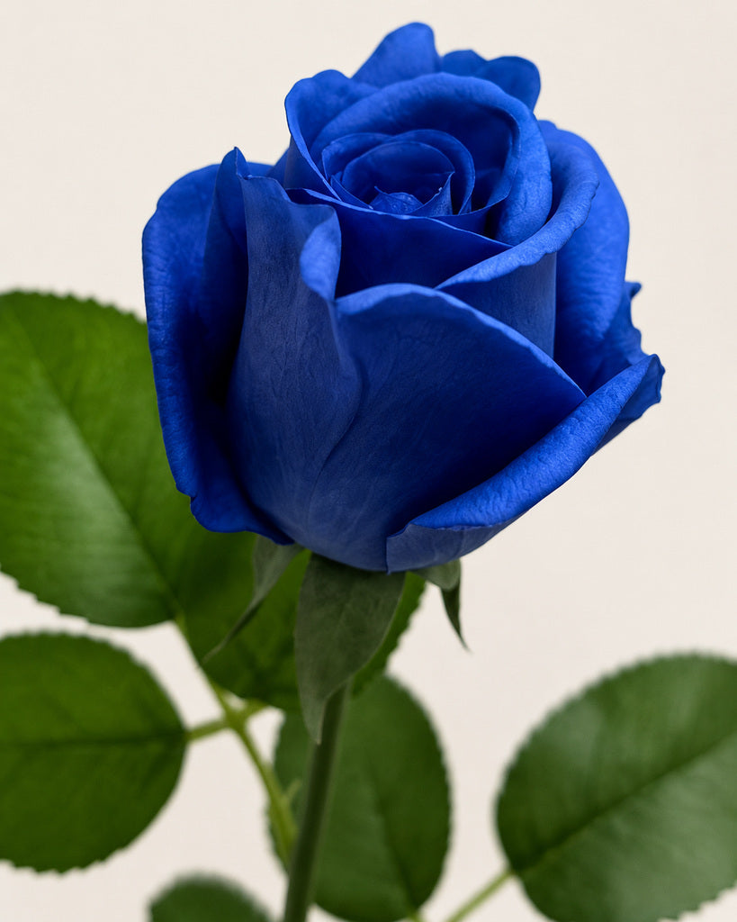 Blue Kate Artificial Rose Stem - 47 cm