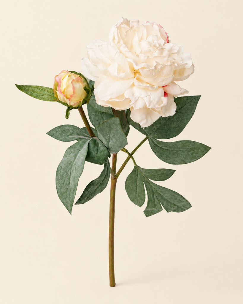 Vintage Champagne 2-Head Artificial Peony Stem - 64 cm