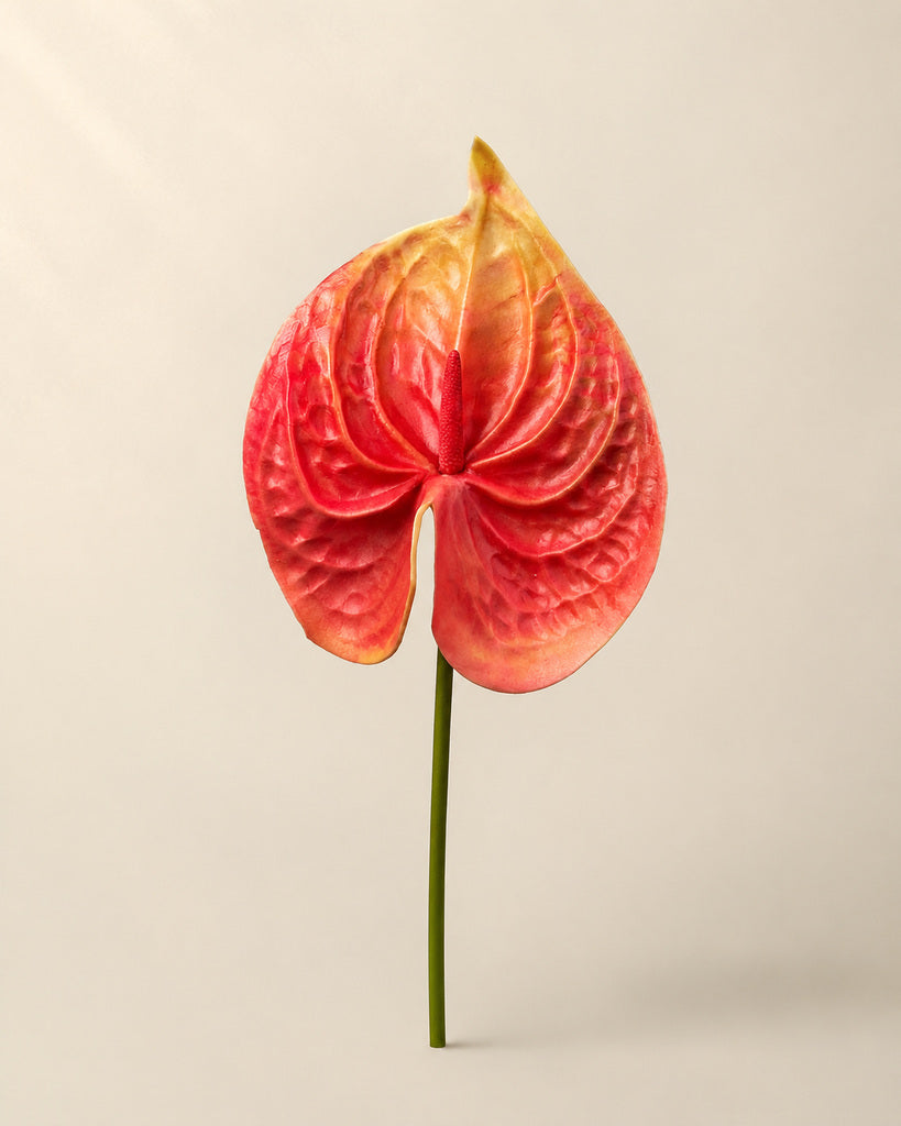 Watermelon Red PU Artificial Anthurium Floral Stem - 57 cm