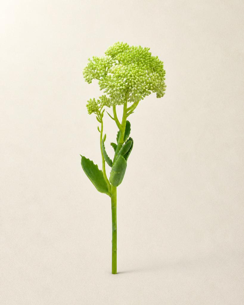 Green Artificial Sedum Fruit Stem - 55 cm