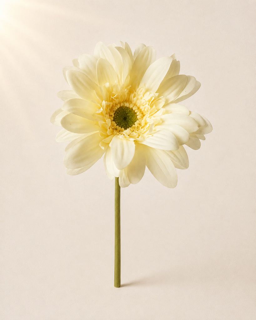 Light Yellow PVC Artificial Gerbera Daisy Stem - 65 cm