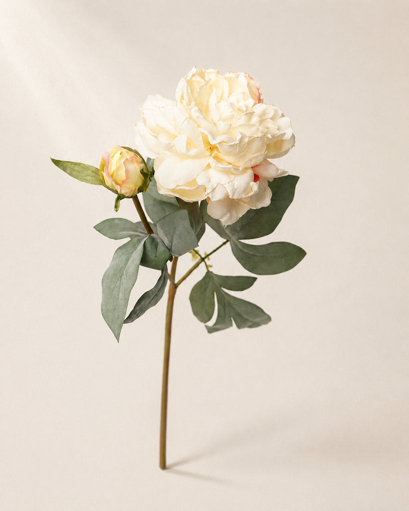 Champagne Fabric Artificial Peony Stem - 64 cm