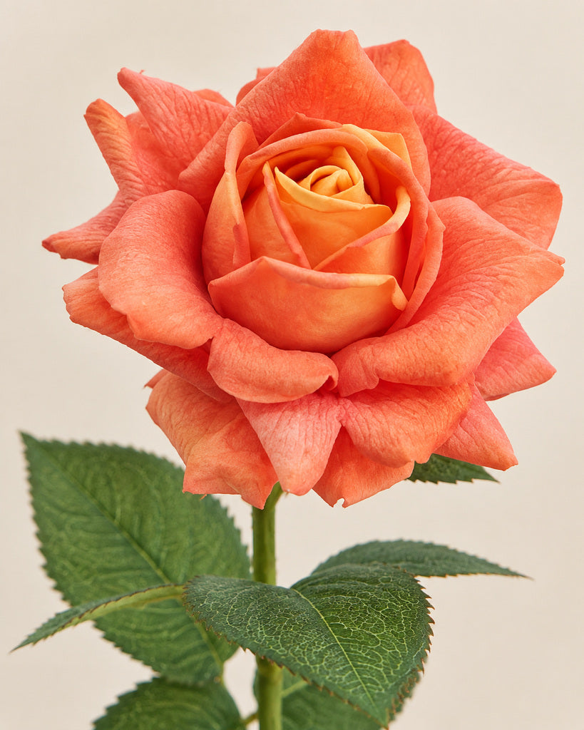 Orange Soft-Touch Artificial Rose Stem - 73 cm