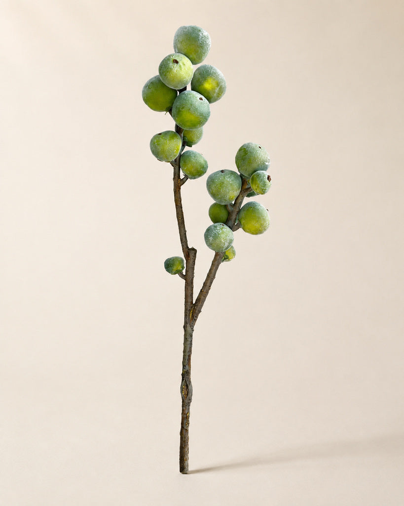 Flocked Artificial Fig Branch - 70 cm