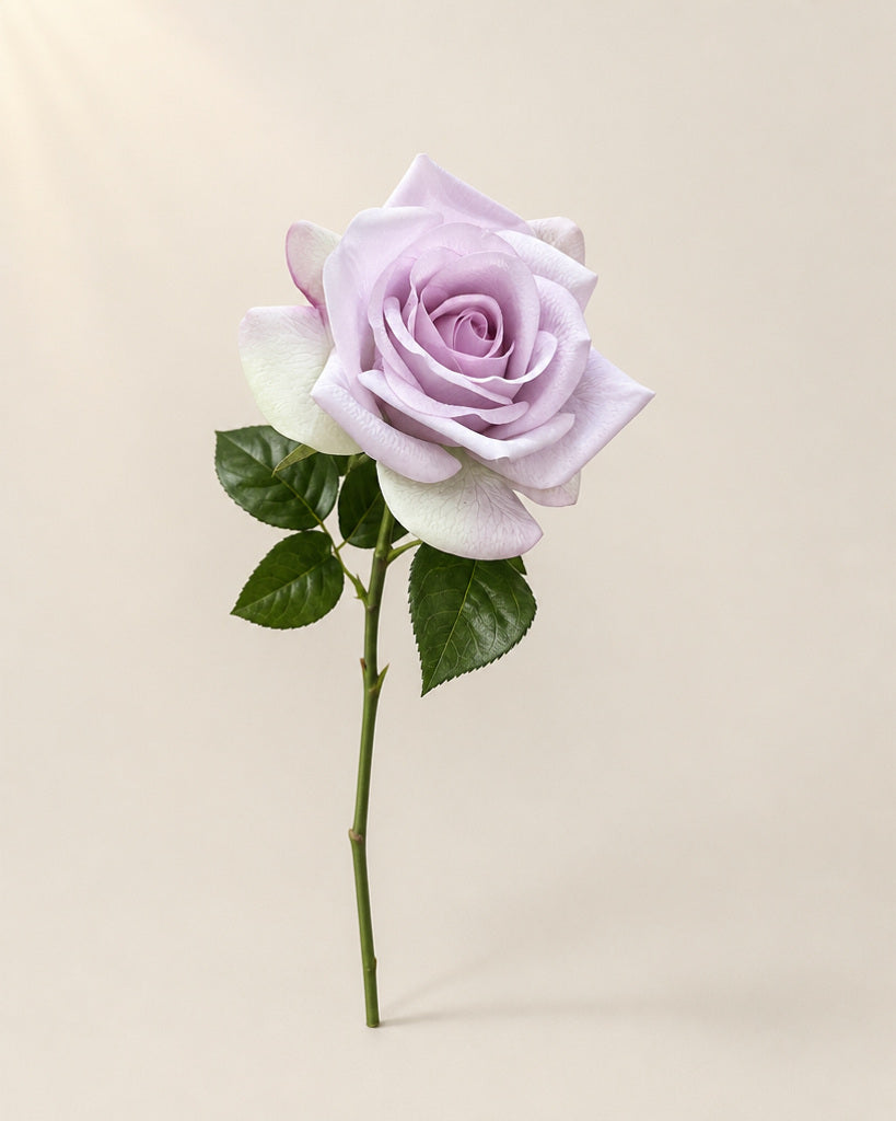 Lavender Fabric Artificial Carola Rose Stem - 66 cm