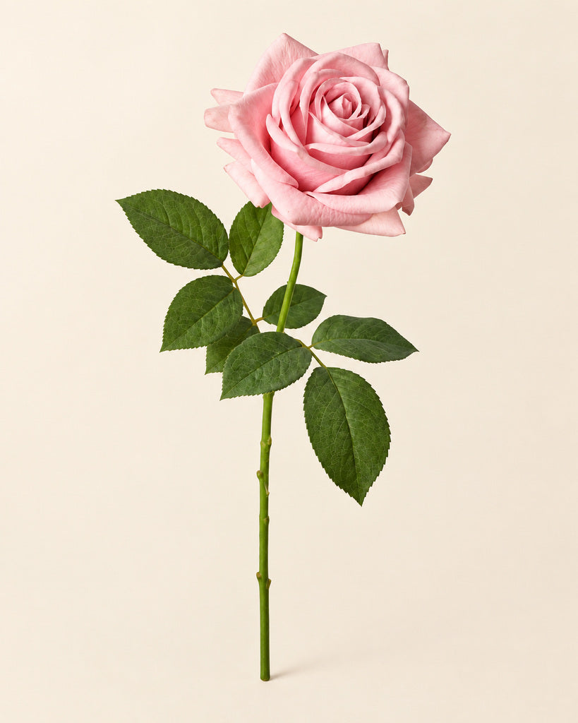 Autumn Pink Fabric Artificial Rose Stem - 66 cm
