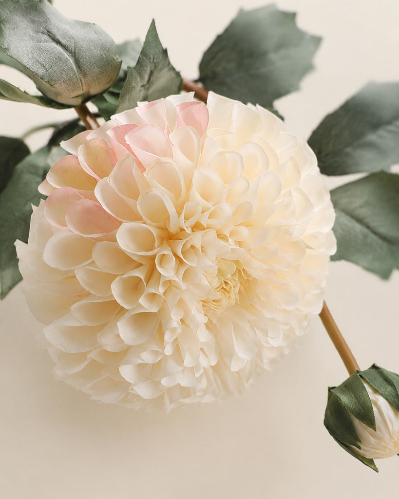 Cream White 2-Head Fabric Artificial Dahlia Stem - 80 cm