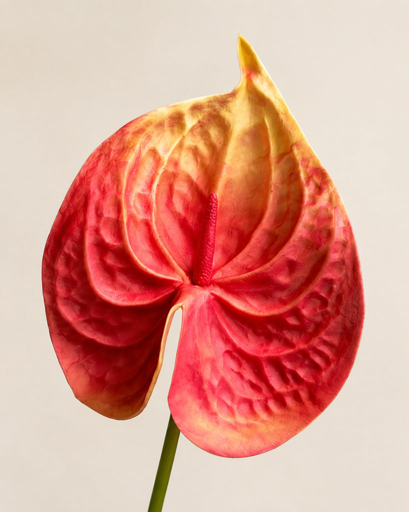 Watermelon Red PU Artificial Anthurium Floral Stem - 57 cm