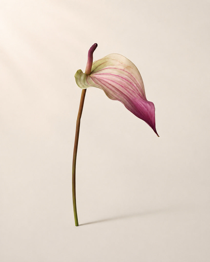 Peach Pink Soft Rubber Artificial Anthurium Stem - 72 cm