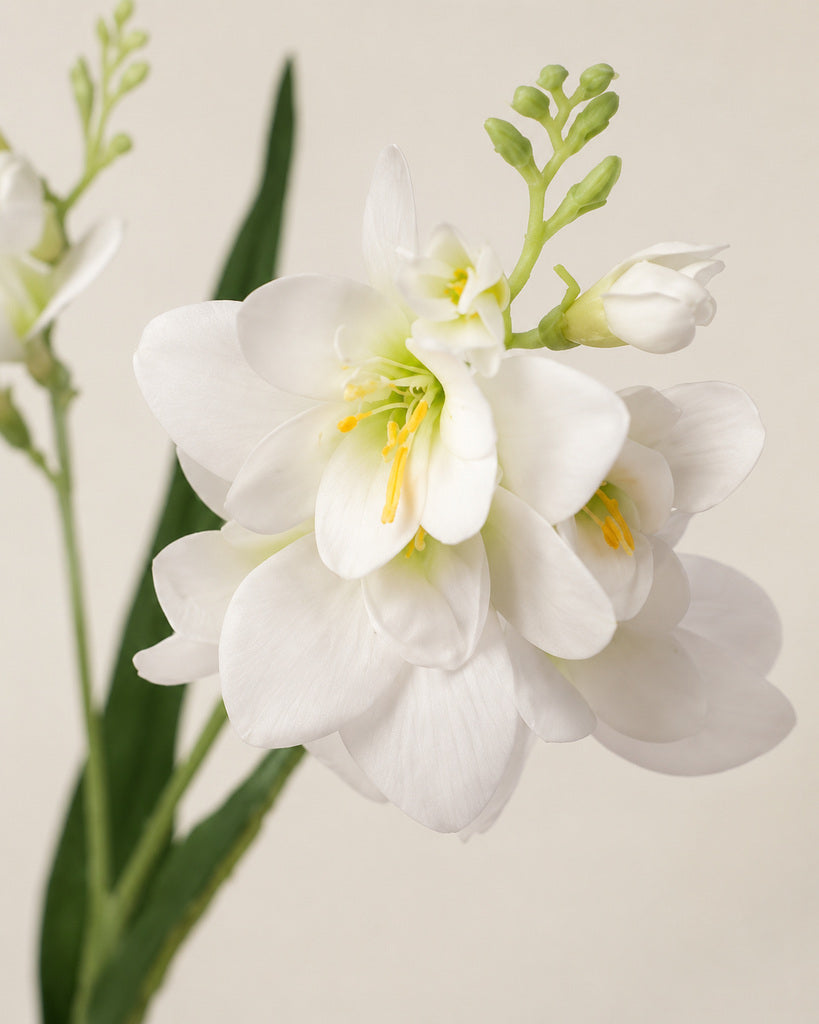 White Film-Texture Artificial Freesia Stem - 63 cm