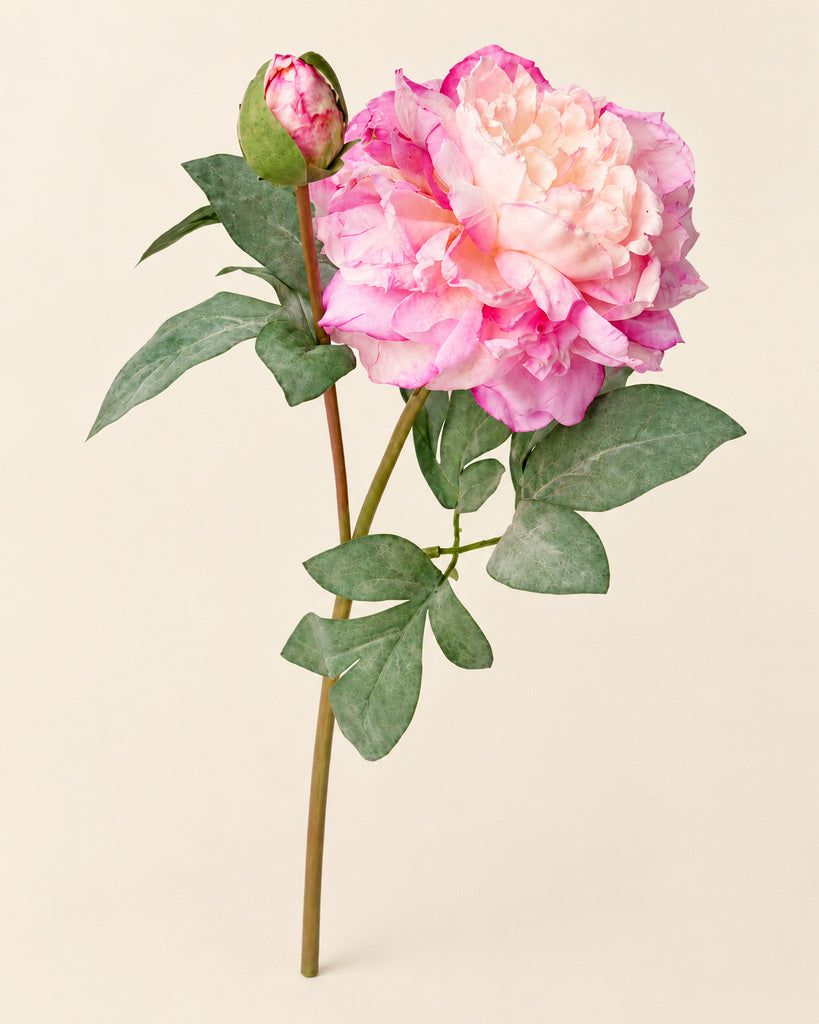 Purple Fabric Artificial Peony Stem - 64 cm