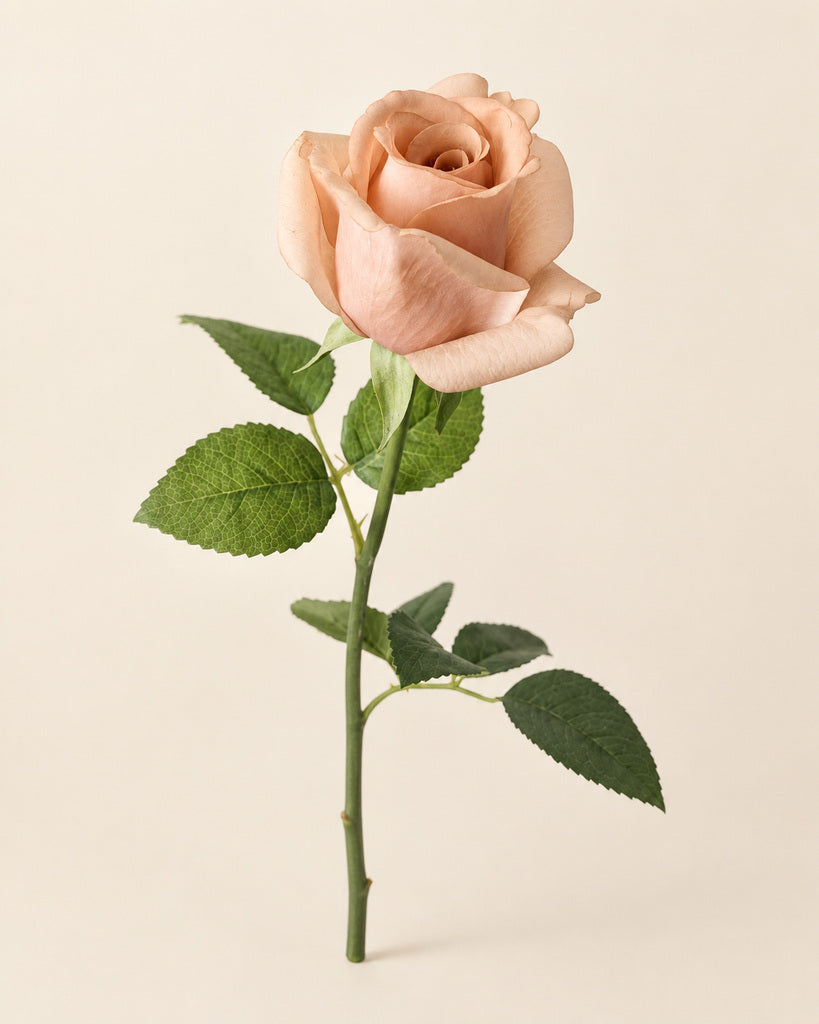 Nude Kate Artificial Rose Stem - 47 cm