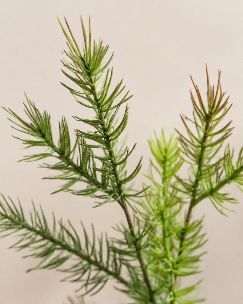 Green Artificial Norfolk Pine Branch - 97 cm