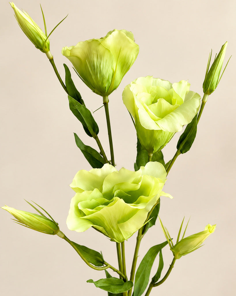 Green Artificial Lisianthus Spray - 57 cm