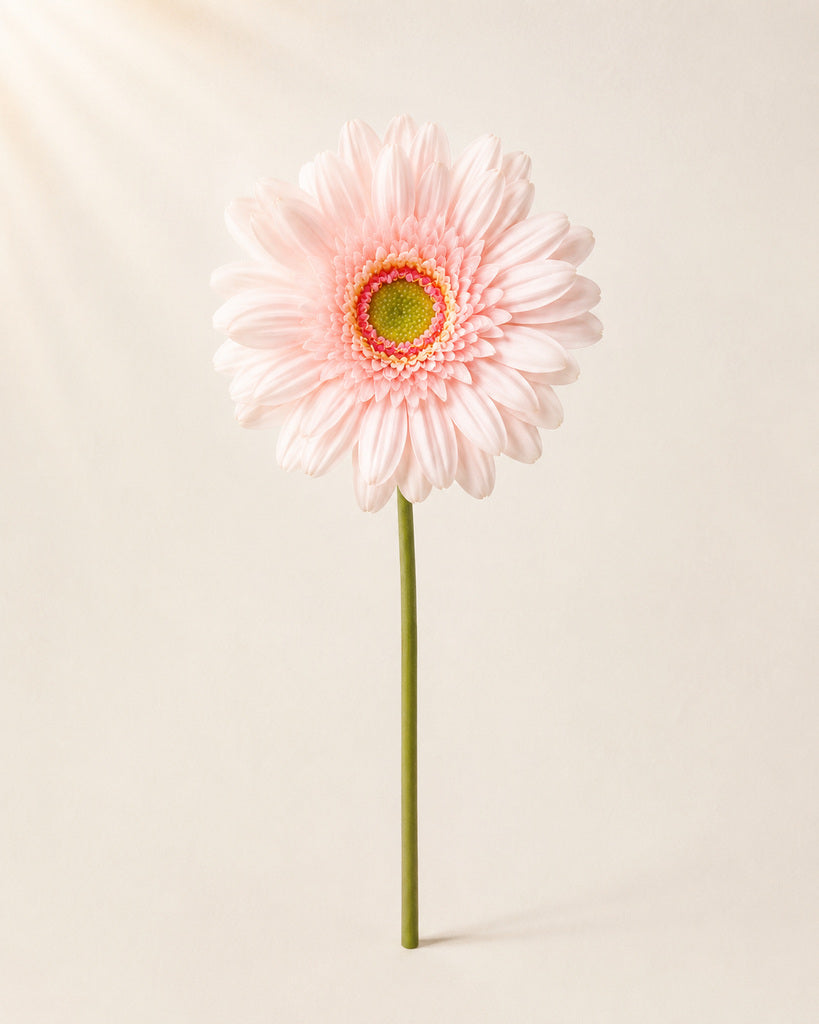 Light Pink PVC Artificial Gerbera Daisy Stem - 65 cm