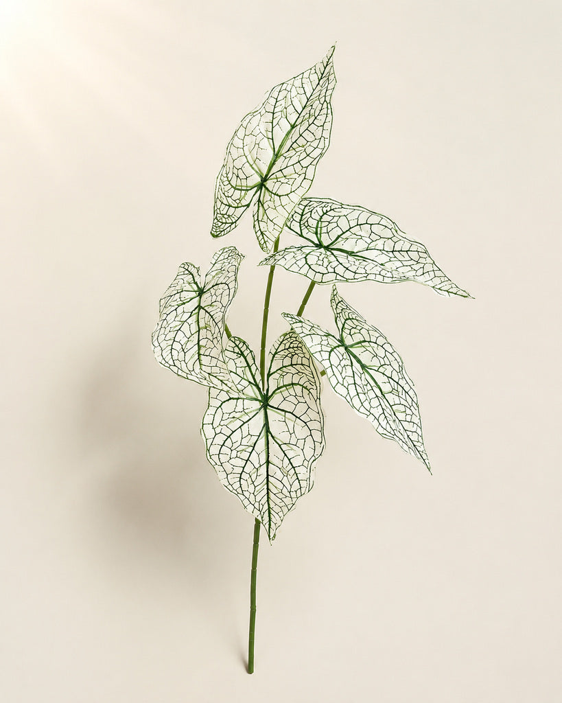 White Veined Artificial Alocasia Leaf Spray - 70 cm