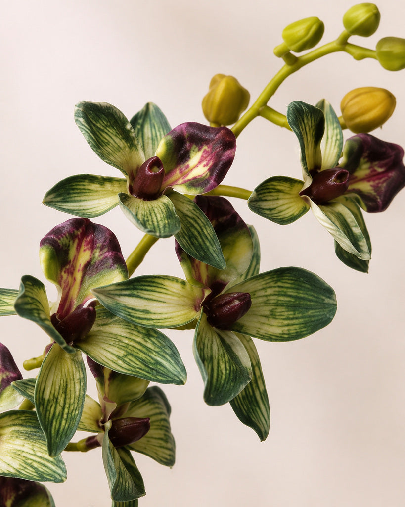 Green Nylon Mesh Artificial Chidori Orchid Spray - 87 cm