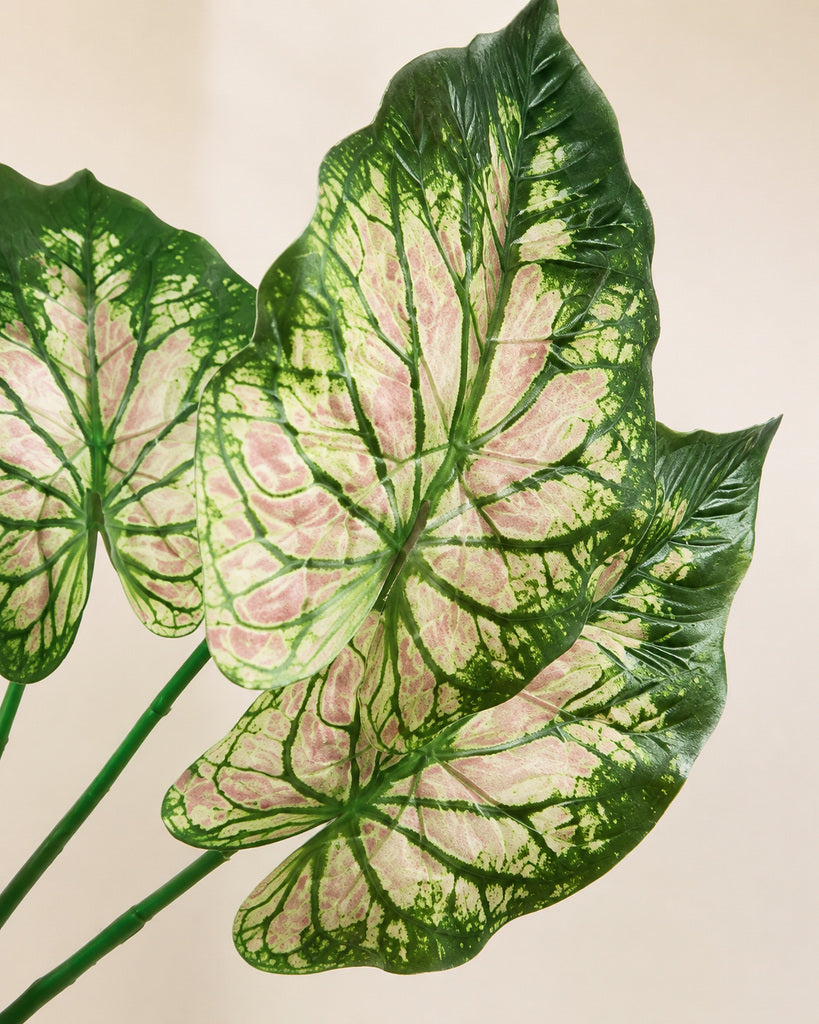 Pink Green Artificial Alocasia Leaf Spray - 70 cm