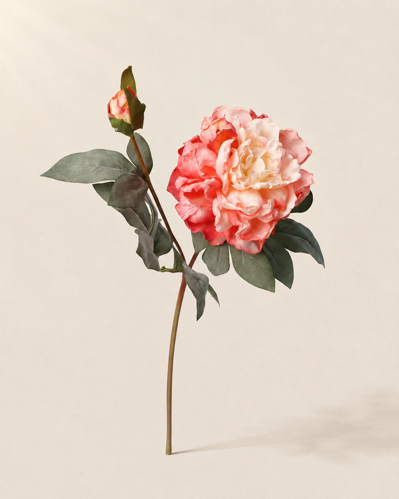 Peach Pink Fabric Artificial Peony Stem - 64 cm