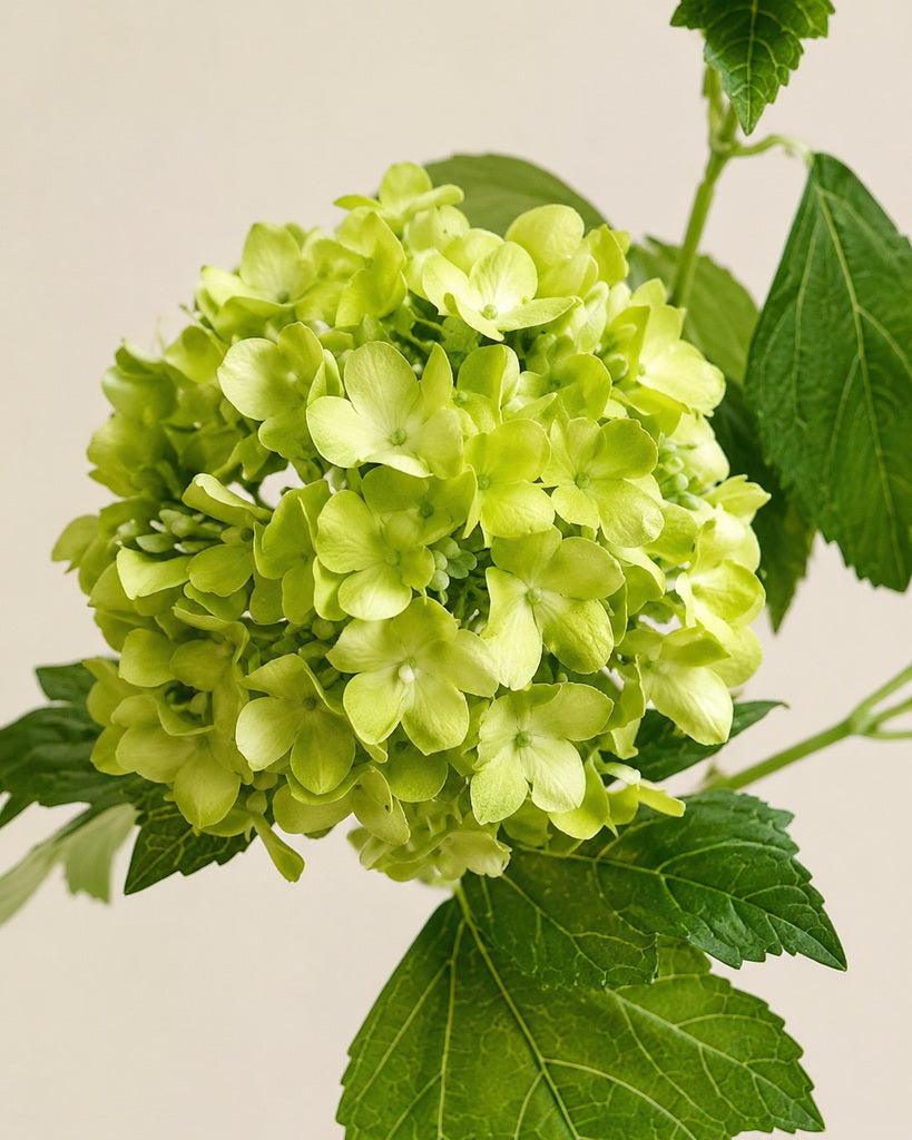 Green Artificial Wood Hydrangea Spray - 70 cm